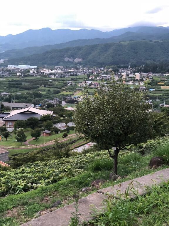 おはようございます