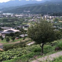 おはようございます