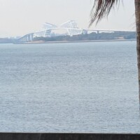 おはようございます…