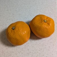 おはようございます…