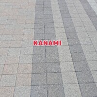 あれっ、ここは どこですか？