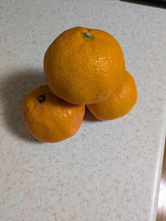 おはようございます!