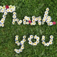 今日のお礼です