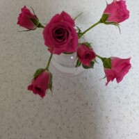 ゆっくり寝てました…