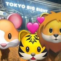 女は愛嬌?男は度胸の大冒険