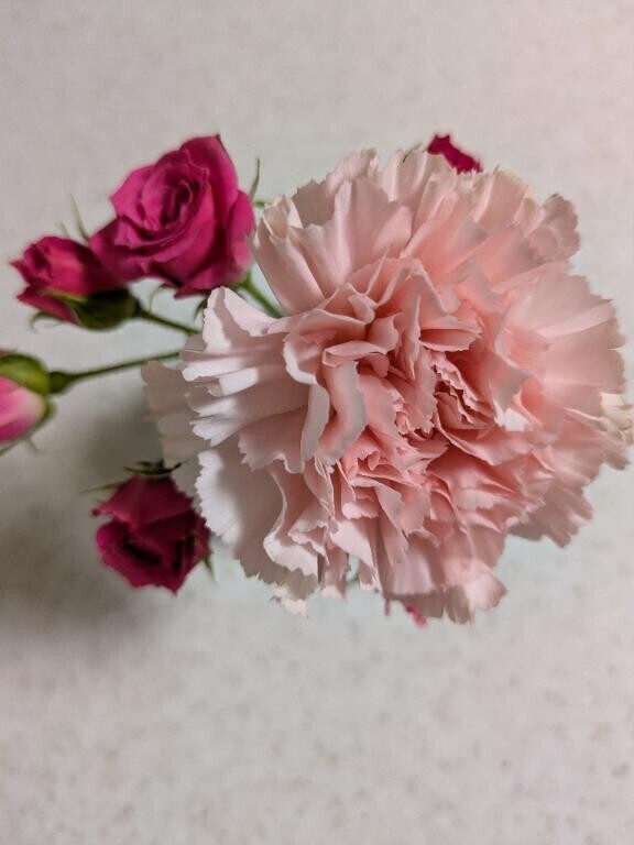 おはようございます～