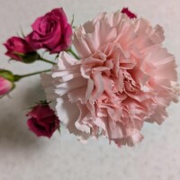 おはようございます～