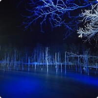 今日はありがとうございました