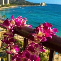 《ありがとうございました》