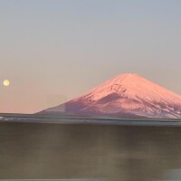 流行りの寝落ち…