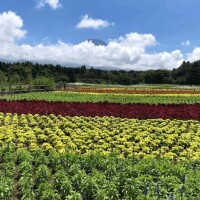 おはようございます！