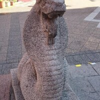 出勤致しました