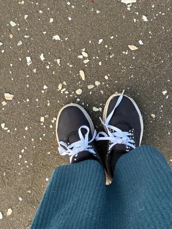 【アニマル診断】やってみたよ♪