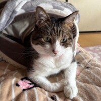 [お題]from:寒くねさん