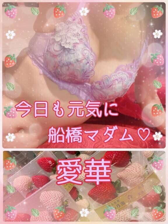 今日も元気に船橋マダム?