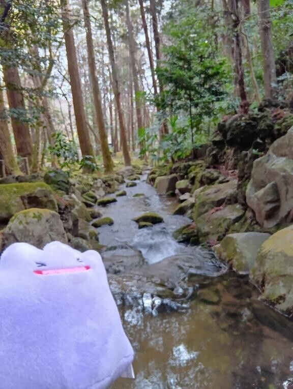 遊びに来てね(* ?? ???)?