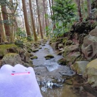 遊びに来てね(* ?? ???)?