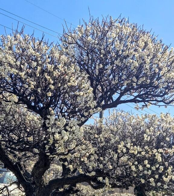 ご予約ありがとうございます(*^^*)