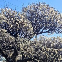 ご予約ありがとうございます(*^^*)