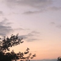 ありがとうございました！