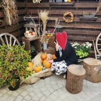 [お題]from:ほかに何が？さん