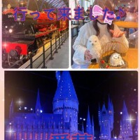 ホグワーツ行って来ました?