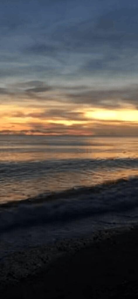 ありがとうございます