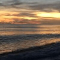 ありがとうございます