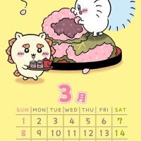 2月のお礼ですm(_ _)m