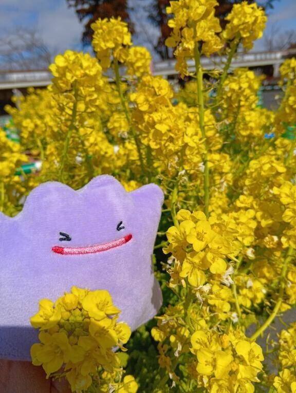 出勤しました(* ?? ???)?