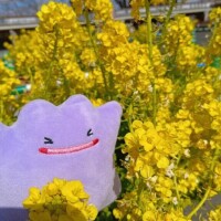 出勤しました(* ?? ???)?