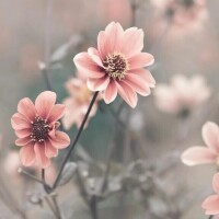 終わりましたm(_ _)m