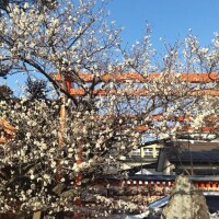 おはようございます♪