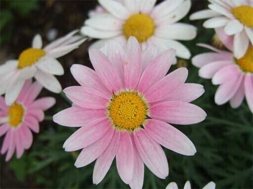 おはようございます?