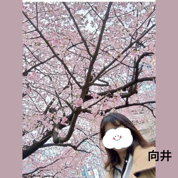 暖かい日になりました