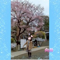 変わっていくもの変わらないもの