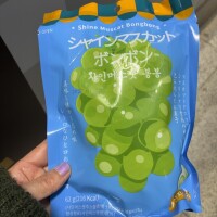 遅ればせながら