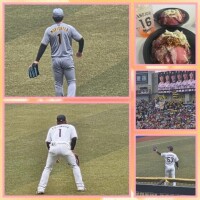 久々にライトスタンド