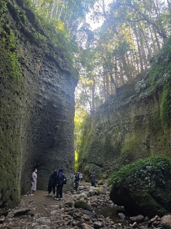 明日からの出勤予定