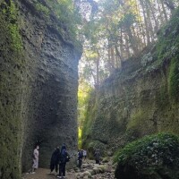 明日からの出勤予定