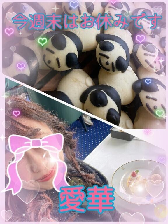 今週末はお休みです