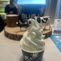 初めまして、小枝くるみです