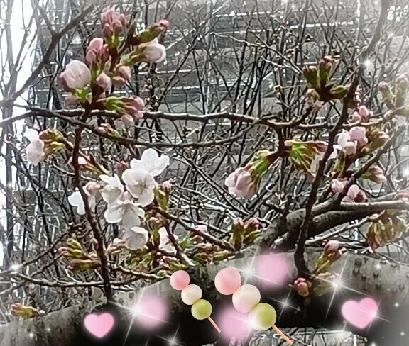 ??? 出勤しました ???三連勤します?