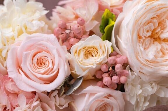 おはようございます