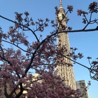 昨日のお礼や色々と…