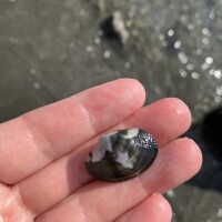 はづき? 出勤しました～