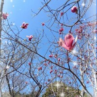 ?赤いアイツの正体??