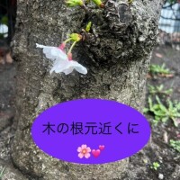 家族から離れる時間は