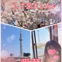 お花見クルーズして来ました♪