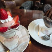 今日のお礼です